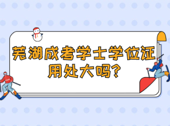 蕪湖成考學士學位證用處大嗎