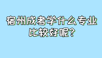 宿州成考學什么專業比較好呢