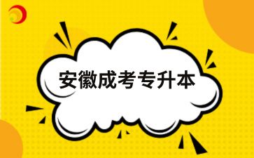 2025年安徽成人高考專升本一年有幾次考試機(jī)會？